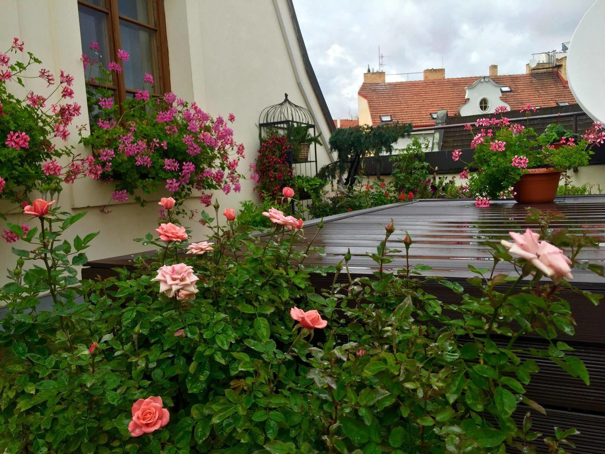 Old Town Boutique Apartments Praga Zewnętrze zdjęcie